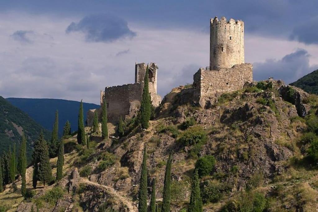Maison Sur Les Hauteurs De Carcassonne Eksteriør bilde